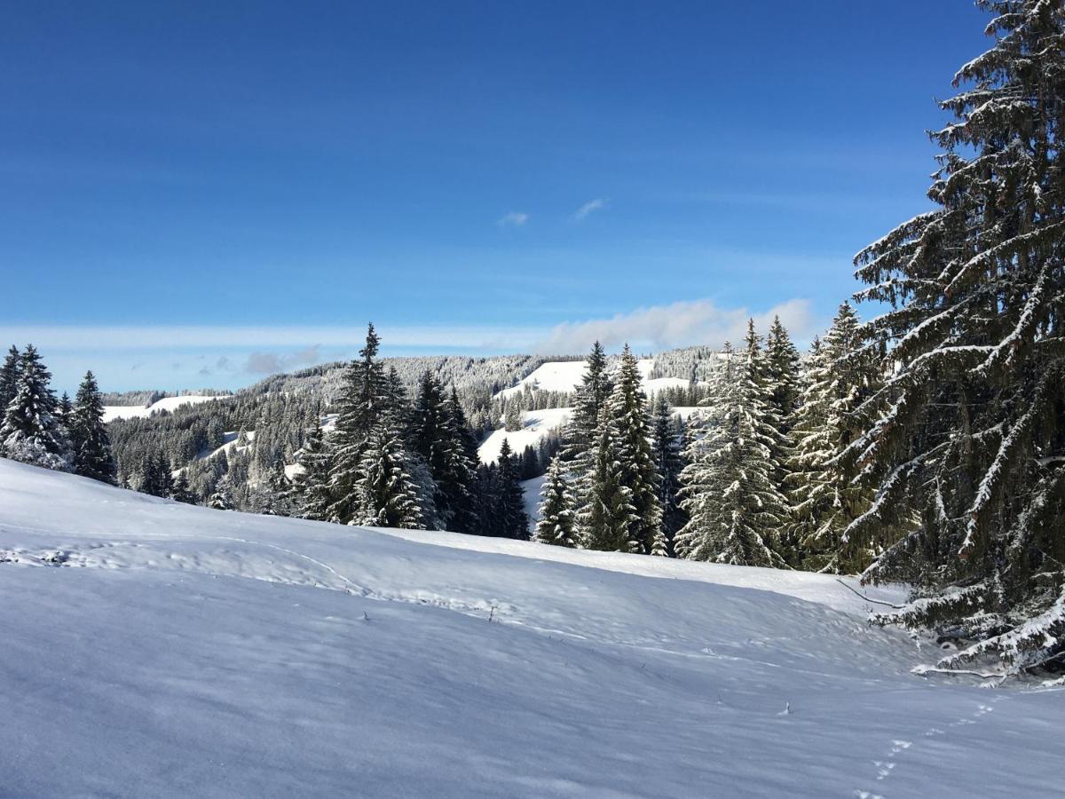 Weitnaustyle - Renoviert, Modern, Allergikerfreundlich Buitenkant foto