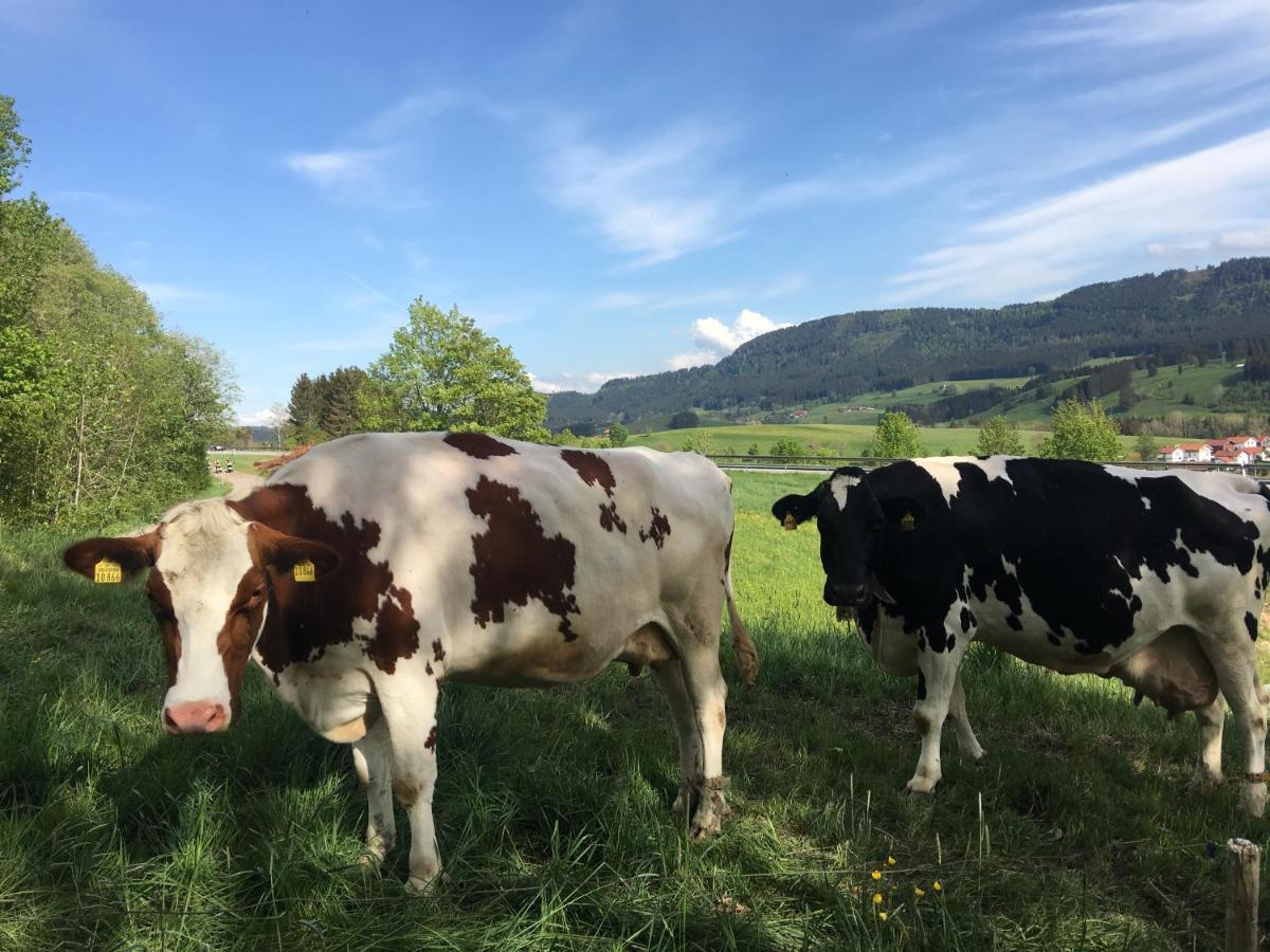 Weitnaustyle - Renoviert, Modern, Allergikerfreundlich Buitenkant foto