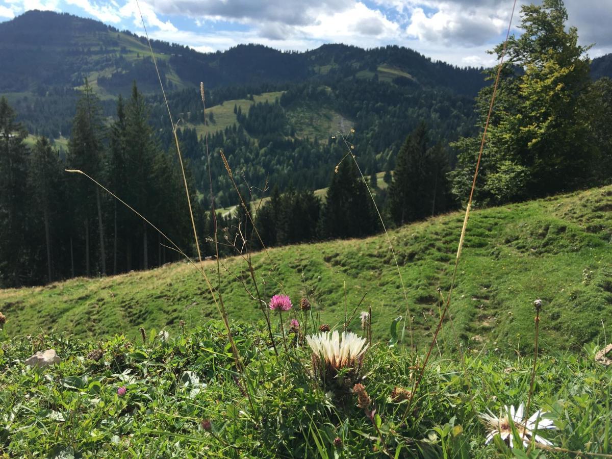Weitnaustyle - Renoviert, Modern, Allergikerfreundlich Buitenkant foto
