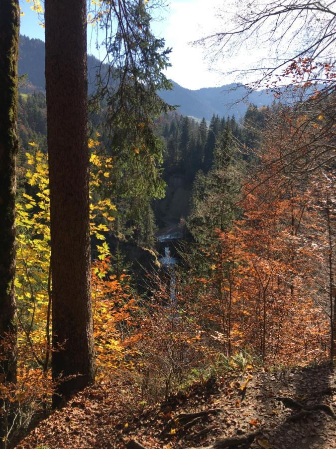 Weitnaustyle - Renoviert, Modern, Allergikerfreundlich Buitenkant foto
