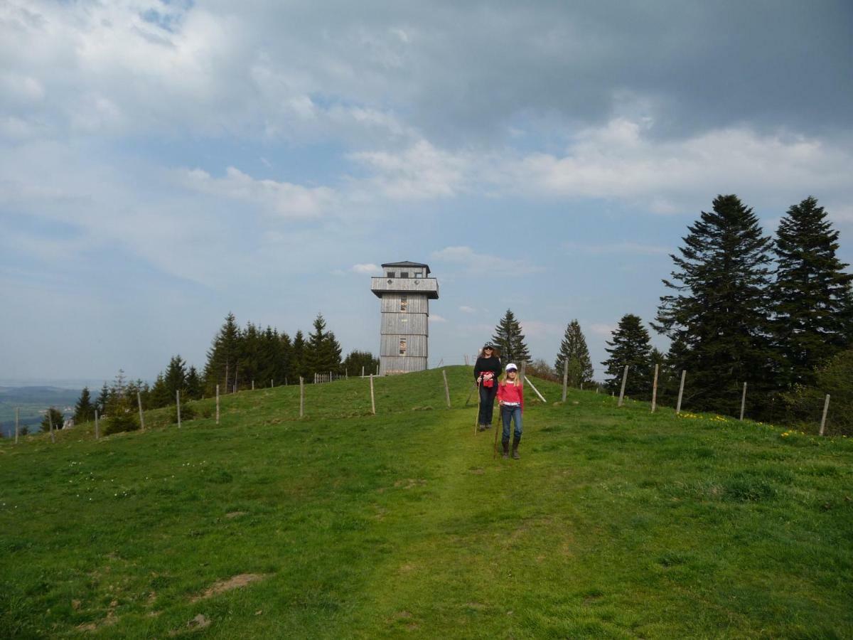 Weitnaustyle - Renoviert, Modern, Allergikerfreundlich Buitenkant foto